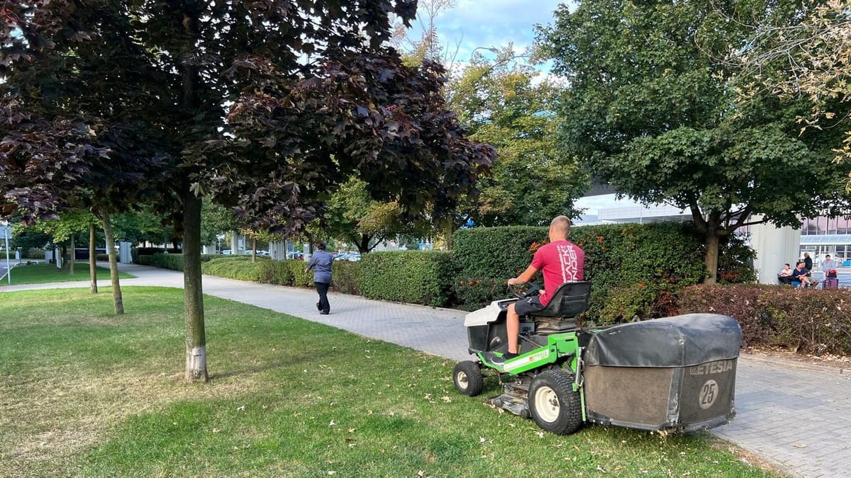 Údržba zeleně pro SVJ: jak vybrat firmu a co dát do smlouvy